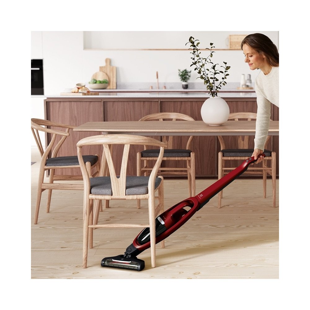 Aspiradora Vertical Electrolux Inalambrica ERG36